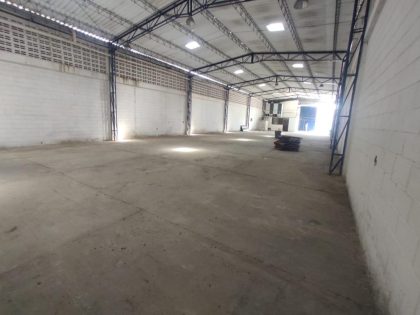 Bodega en circunvalar