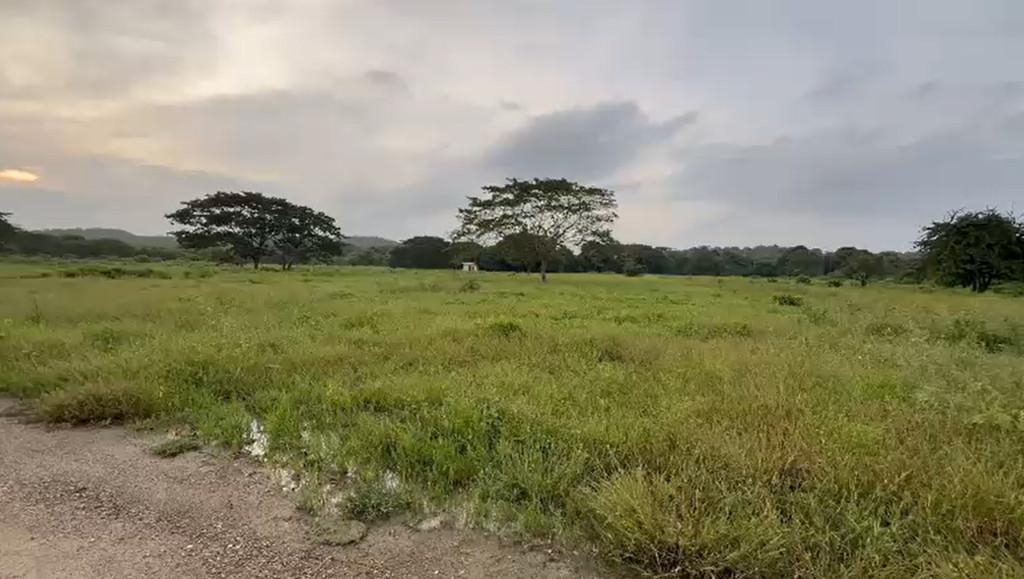 Lote en Santa Veronica