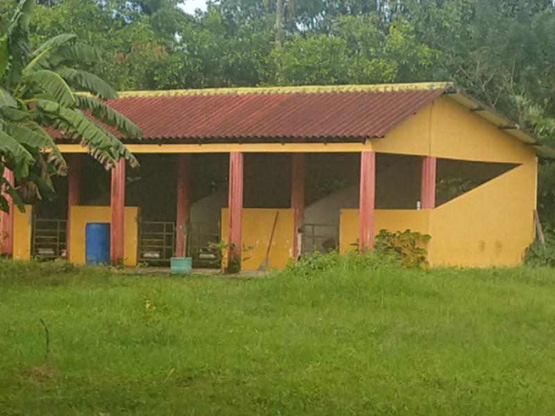 Finca en Baranoa
